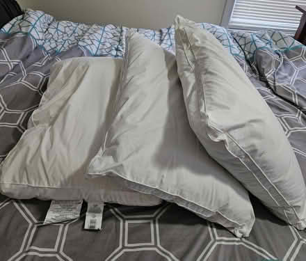 Photo of free Pillows (Medford ma) #1