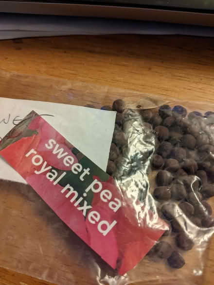 Photo of free Seeds (City Centre NR3) #1