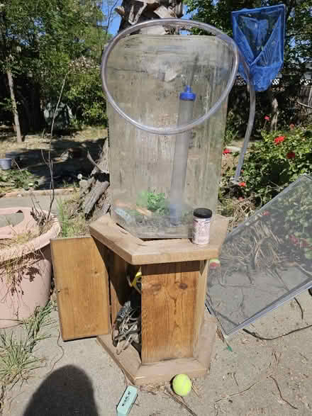 Photo of free Fishtank (Los Altos) #1