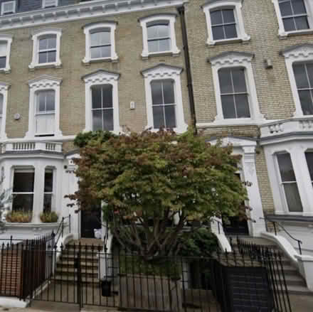 Photo of free Perrotia persica Tree (SW3 5LD) #1