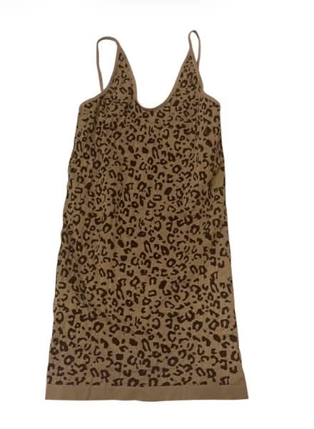 Photo of free Woman’s Leopard Print Dress (Brooklyn Storage) #1