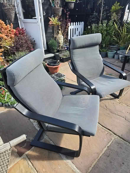 Photo of free A Pair IKEA Poang Chairs (Christchurch bh23) #3