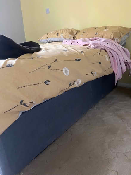 Photo of free Double divan bed & mattress (Truro TR1) #2