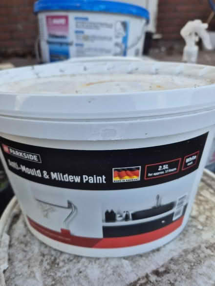 Photo of free White Anti-mould & mildew paint (Mendlesham.) #1