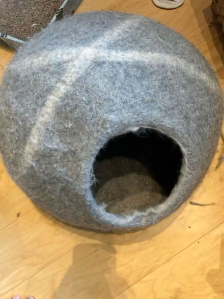 Photo of free Cat cave/treats & school supplies (22314 Alexandria) #1