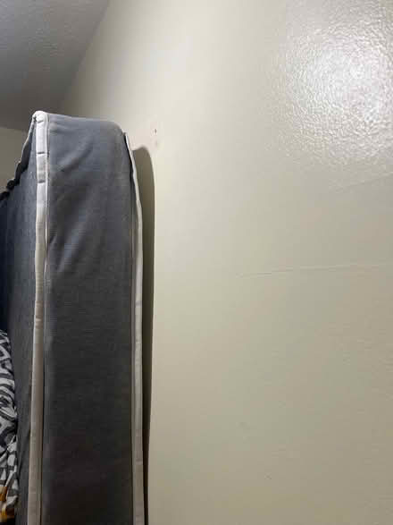 Photo of free Double Sprung Mattresses (truro) #2