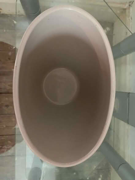 Photo of free Orchid pot (Loughborough LE11) #2