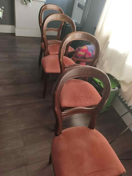 Photo of free Dining chairs (Kingswood BS5) #1