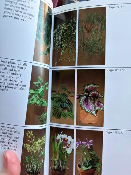 Photo of free Taylor’s Guides set of 12 (Canada Cove, Half Moon Bay) #2