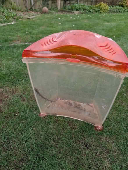Photo of free Plastic fish tank (The Cedars Estate WD3) #2
