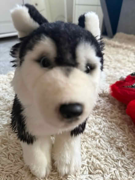 Photo of free Teddy bundle (Carshalton) #3