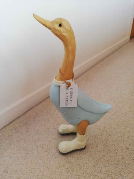 Photo of free Ornamental Duck (BS30) #1
