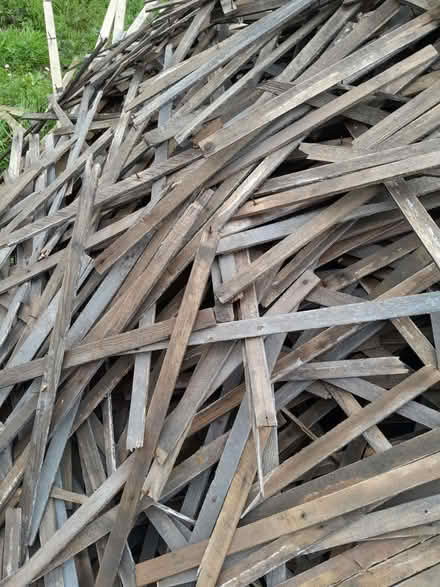 Photo of free Chestnut laths (City of Bristol BS5) #2