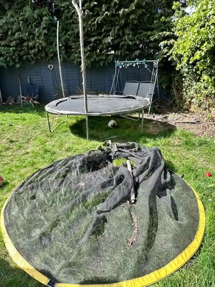 Photo of free Trampoline (Hampton Hill TW12) #1