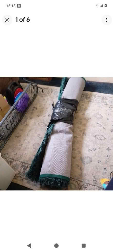 Photo of free Big green rug (Sheldon B26) #1
