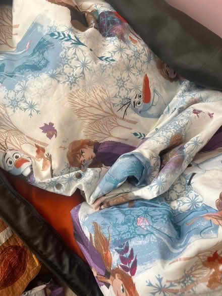 Photo of free Frozen curtains and bedsheets (Tidbury Green B90) #3