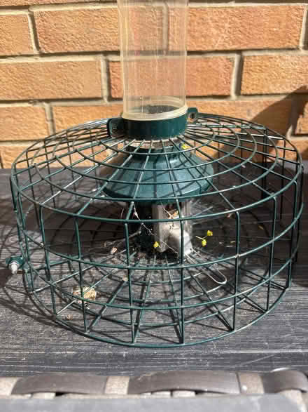 Photo of free Tall bird feeder with cage (Dunton SG18) #2