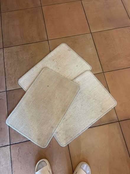Photo of free Three scratch mats for cats (Erdington B24) #1