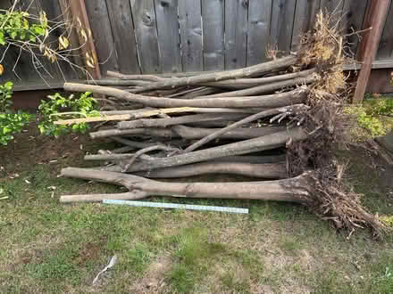 Photo of free twenty 5 - 6 feet long tree trunks (Mary and Homestead, Sunnyvale) #1