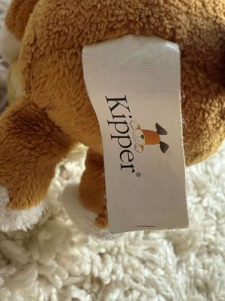 Photo of free Kipper teddy (Carshalton) #3