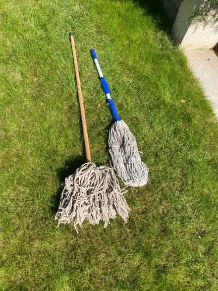 Photo of free Mops x 2 (Woodford Green IG8) #1