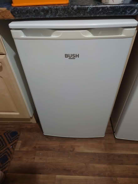 Photo of free Bush under-counter freezer (Penrith CA11) #1
