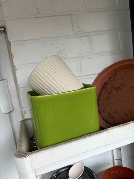 Photo of free Pots (Hackney Central E8 1HY) #3