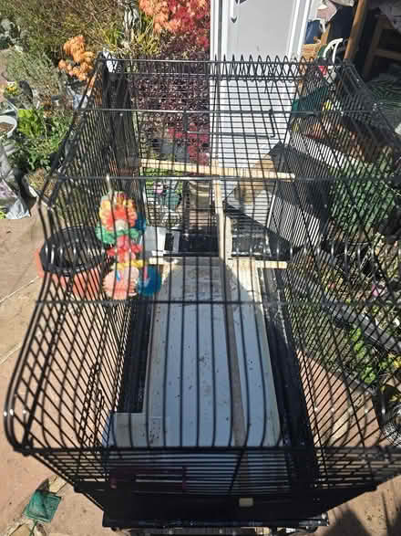 Photo of free Bird Cage with stand on wheels (Christchurch bh23) #3