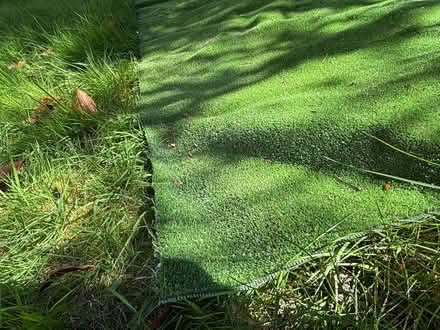 Photo of free Artificial grass 2x3 meters (Welling DA7) #2