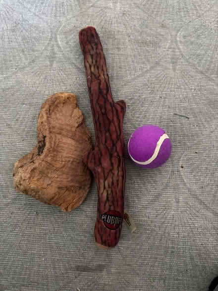 Photo of free Dog toy (CR7) #1