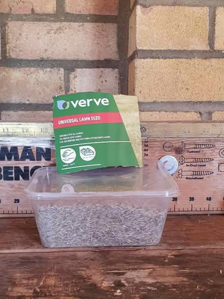 Photo of free Grass seed (Kidlington OX5) #1