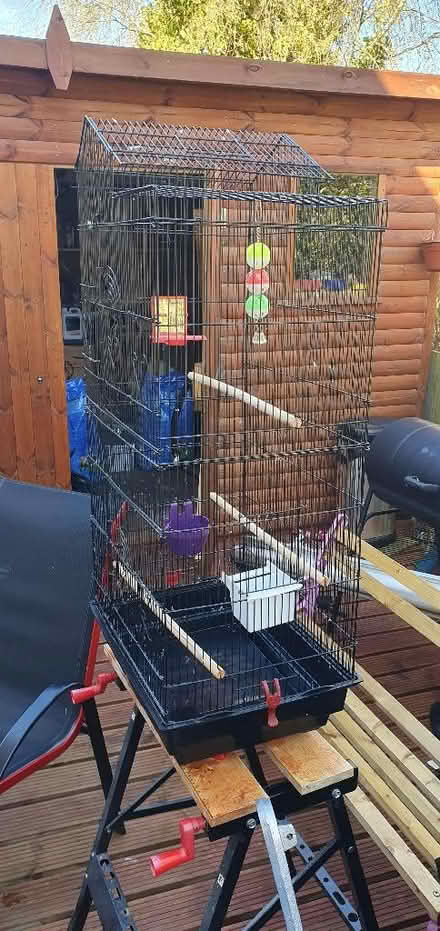 Photo of free Bird cages there are two so take one or both plus food (Ridge LA1) #2