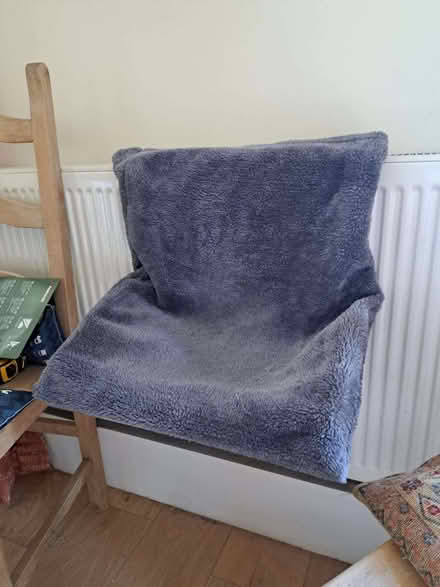Photo of free Cat Bed (Saltdean BN2) #1