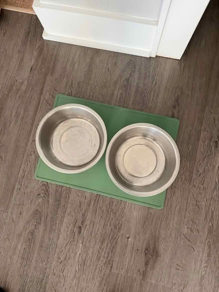 Photo of free dog items (Morristown) #3