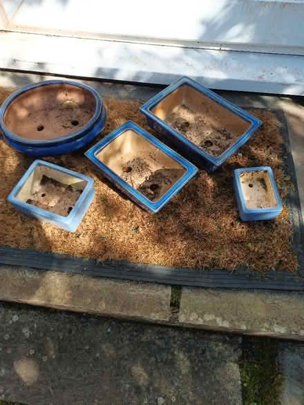 Photo of free Bonsai pots (City of Bristol BS16) #1