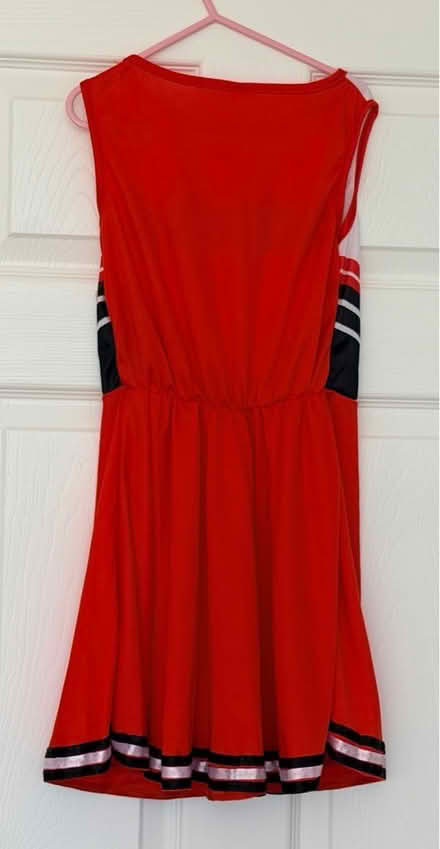 Photo of free Girls costume Cheerleading Dress L (Ashburton SE25) #2