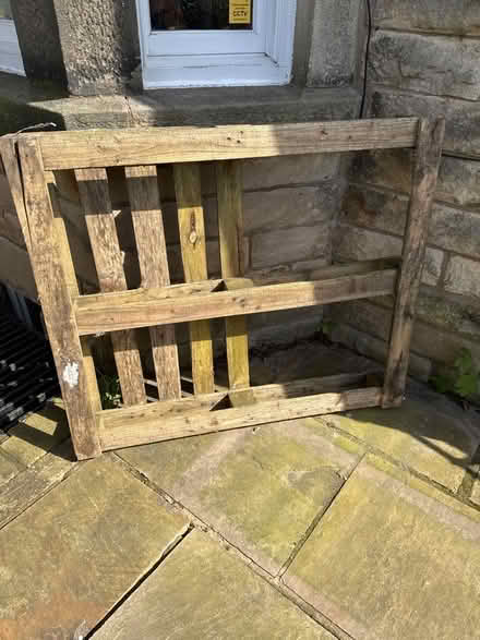 Photo of free Pallet (Primrose LA1) #1
