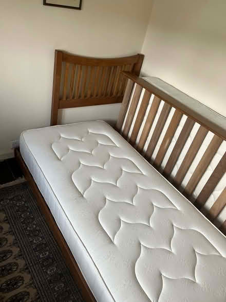 Photo of free Solid timber single beds with matching trundle trundle (Trefeglwys SY17) #1