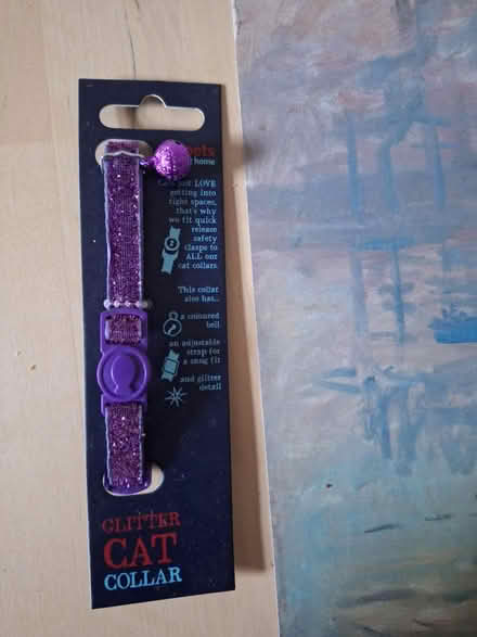 Photo of free Glittery cat collar with bell (Walkley S6) #1