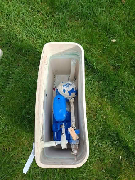Photo of free Toilet Cistern (Twickenham TW2) #1