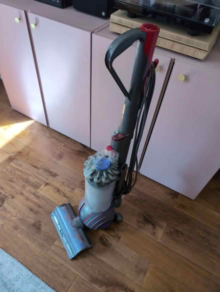 Photo of free Dyson Animal Ball Vacuum Cleaner (South Tonbridge TN9) #2