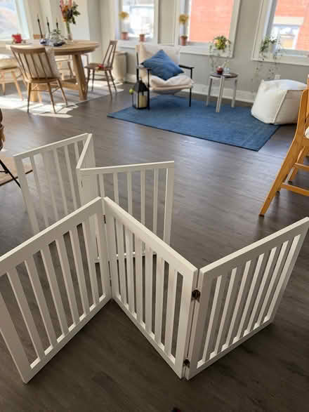 Photo of free dog items (Morristown) #1