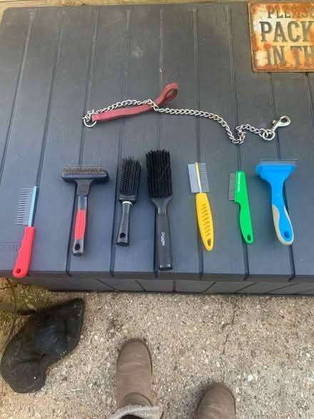 Photo of free Dog brushes, combs, and lead (Ringwood BH24) #1