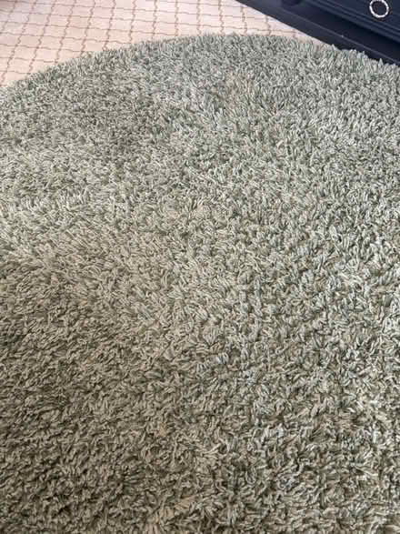 Photo of free Circular Green Rug (Comberton DY10) #4
