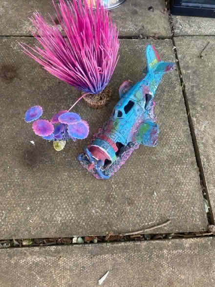 Photo of free Fish tank (Forest green) #1