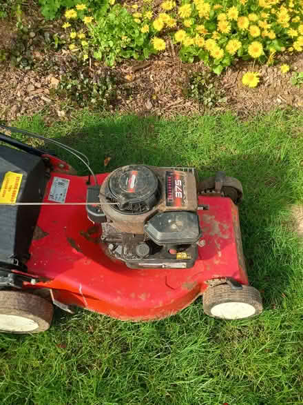 Photo of free Petrol mower (Standish GL10) #2