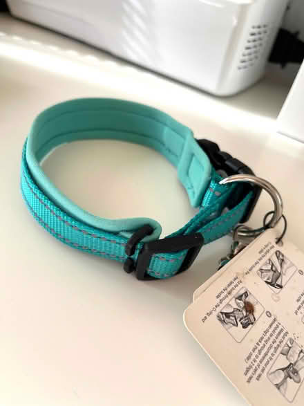 Photo of free Dog Collar (Pilton EH4) #1
