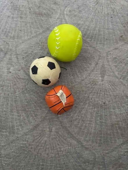 Photo of free Dog balls (CR7) #1