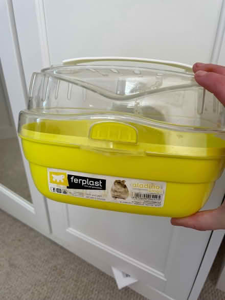 Photo of free Small pet carrier (South Norwood SE25) #2