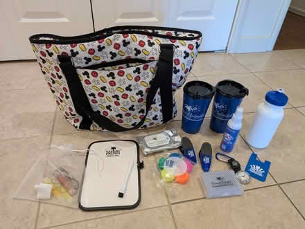 Photo of free Disney Tote Gift Bag (El Cerrito) #1